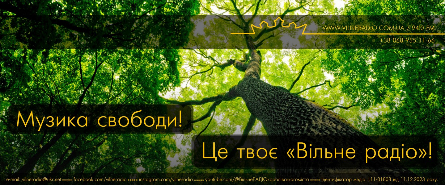 vilne_slide__7